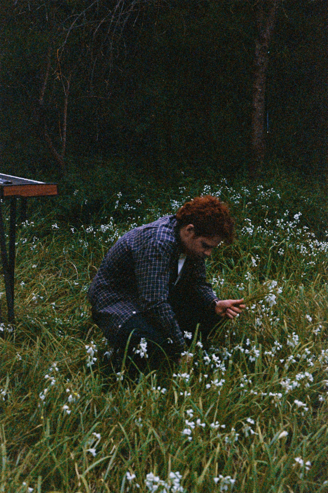 april snowdrop, colour and ducks