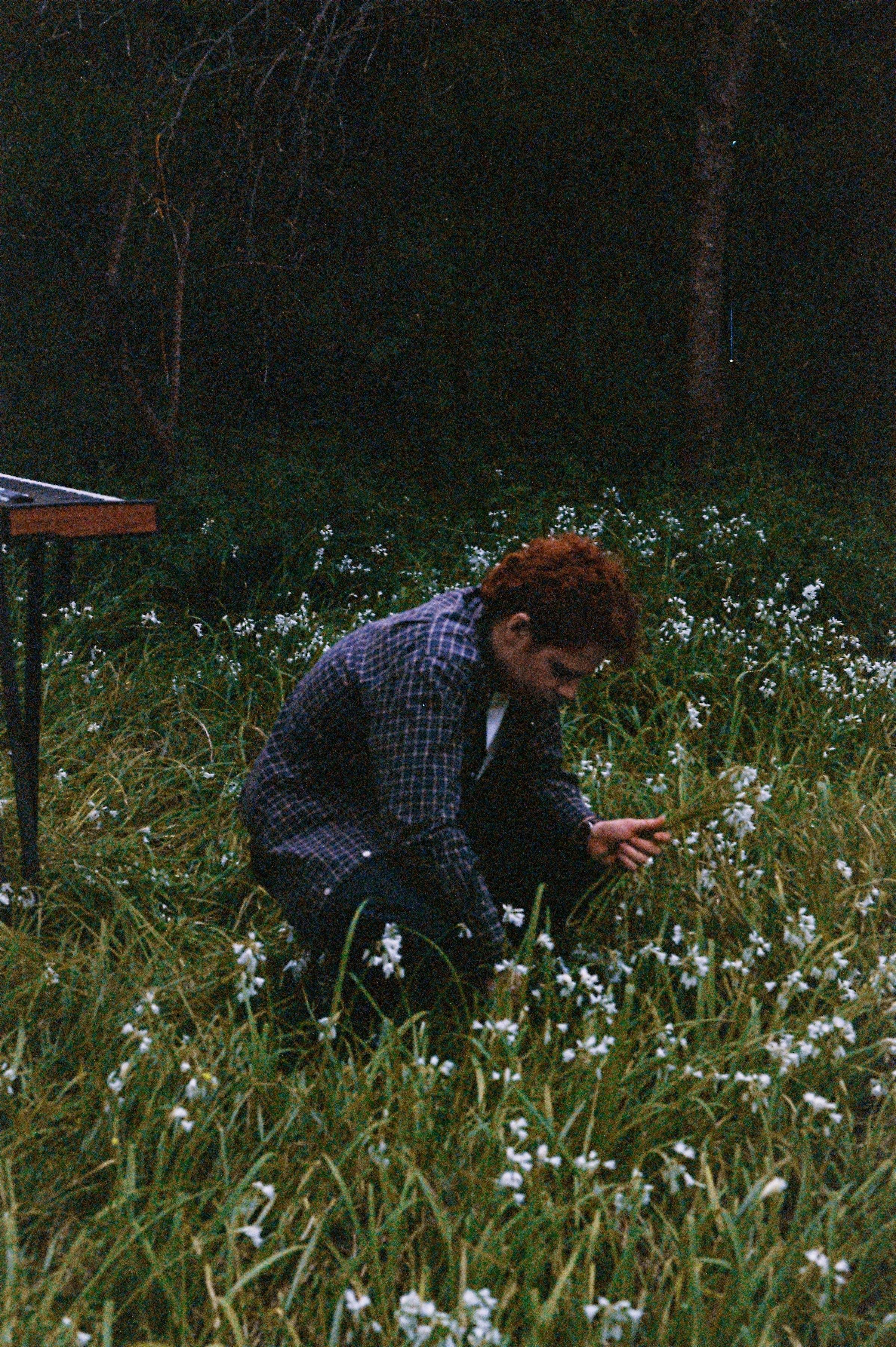 april snowdrop, colour and ducks